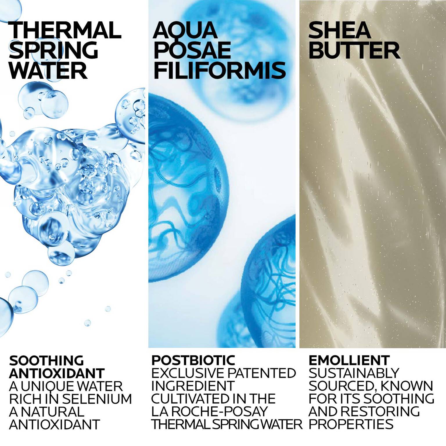 lipikar-wash-ap-moisturizing-body-and-face-wash-h5 Lipikar-Wash-ingredients_1500x1500-REV.jpg